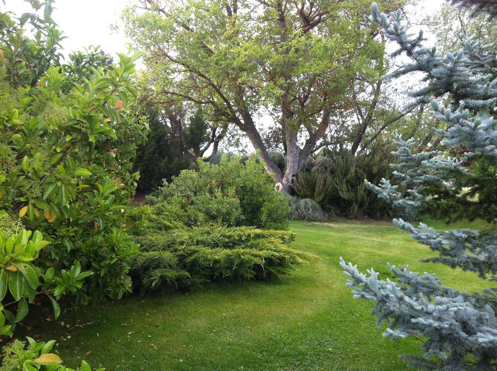 La Alberca Villa Palencia Bagian luar foto
